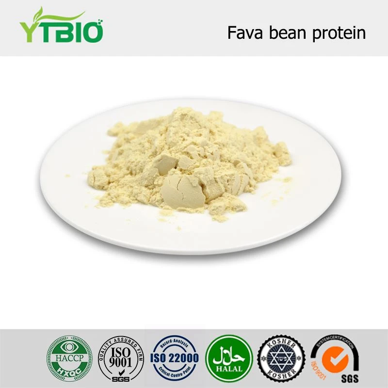 Beljakovinski prah Fava Bean