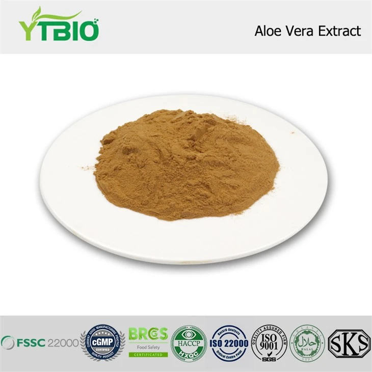 Izvleček aloe vere
